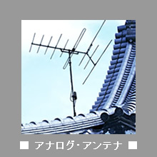 �� �A�i���O�E�A���e�i ��