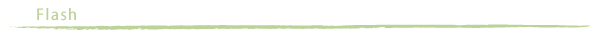 Flash�T�C�g�i�l�T�C�g�܂ށj