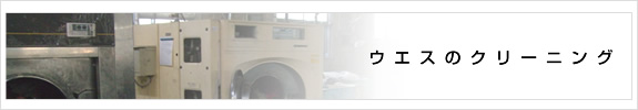 ウエスのクリーニング